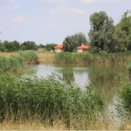 Bungalow * Tiszagyenda