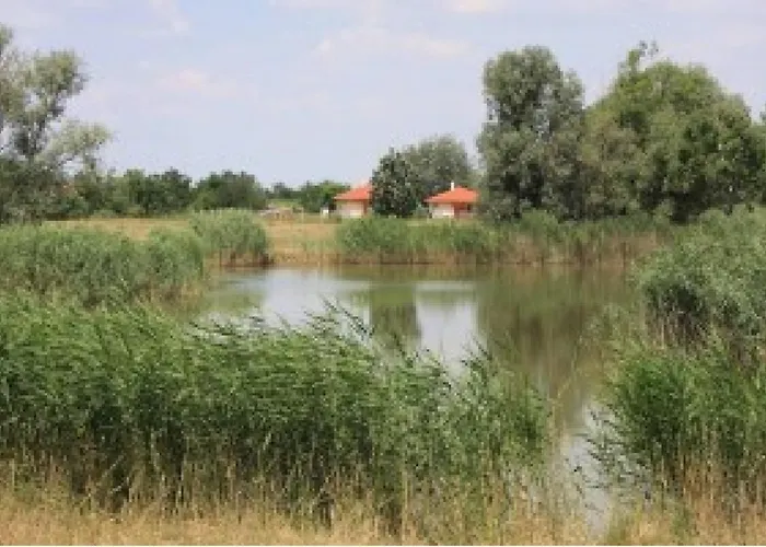 Bungalow * Tiszagyenda